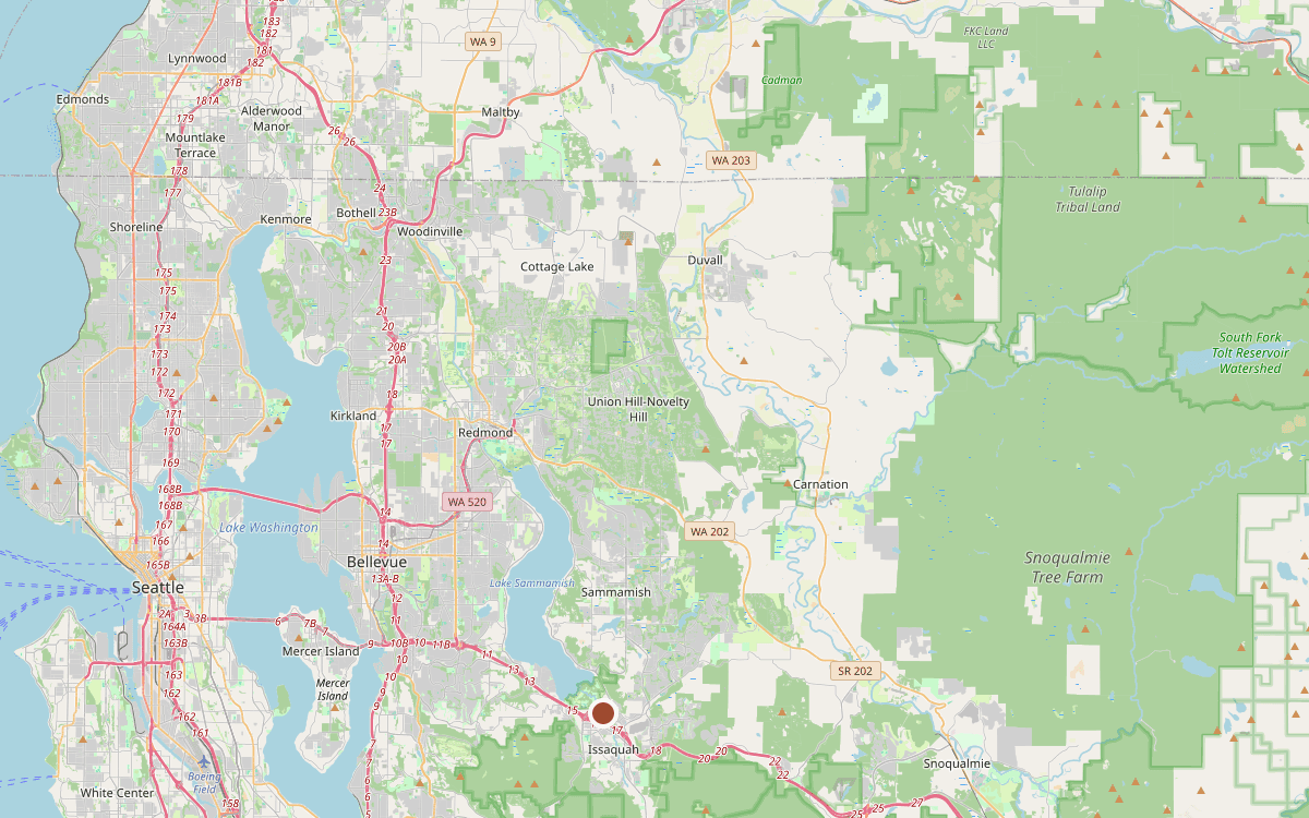 Map of our chimney service area across King County, WA